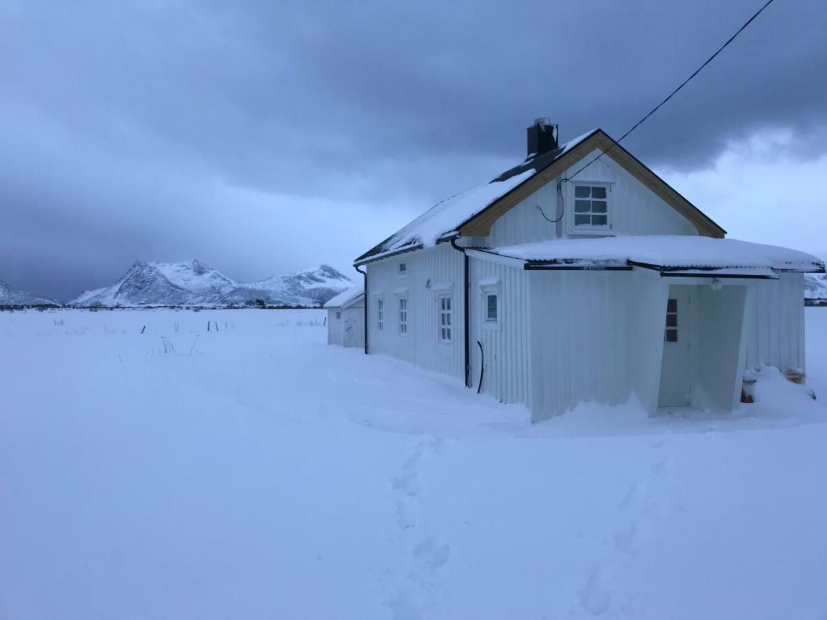 Narnia Lodge Lofoten Gimsoy Dış mekan fotoğraf