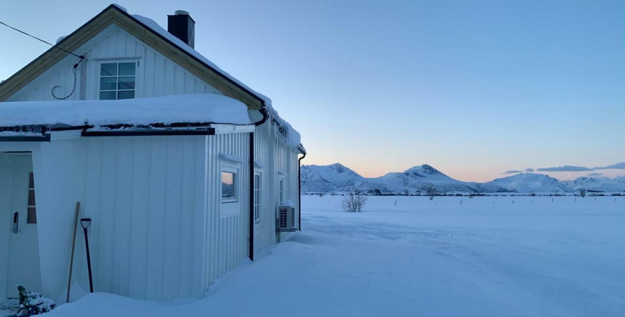 Narnia Lodge Lofoten Gimsoy Dış mekan fotoğraf