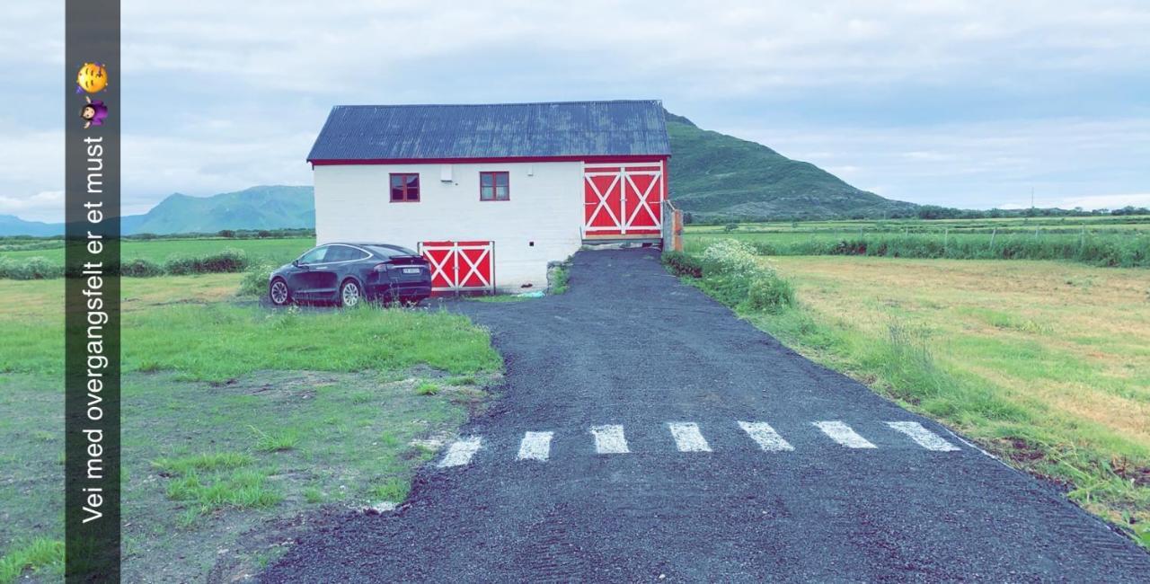 Narnia Lodge Lofoten Gimsoy Dış mekan fotoğraf